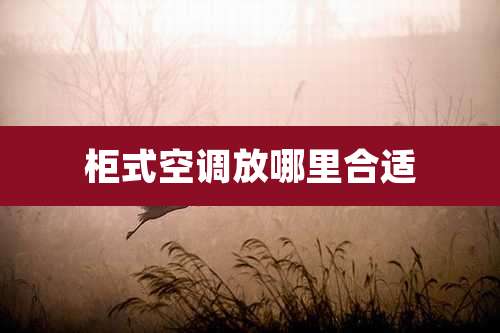 柜式空调放哪里合适