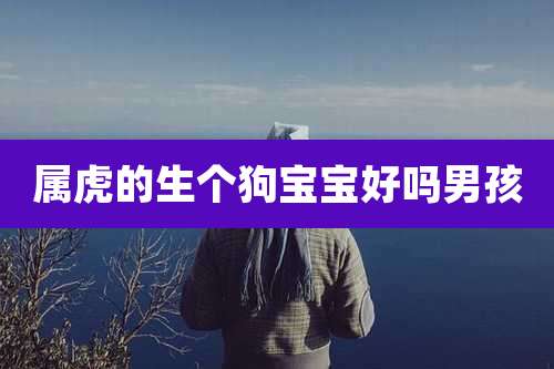 属虎的生个狗宝宝好吗男孩