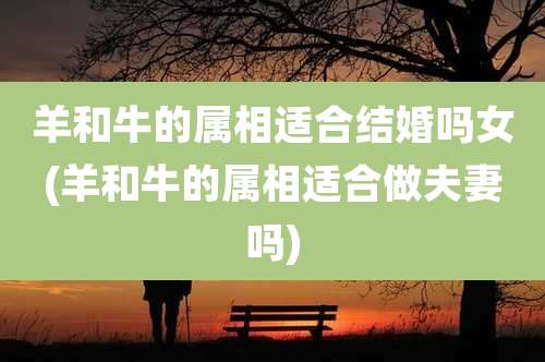 羊和牛的属相适合结婚吗女(羊和牛的属相适合做夫妻吗)