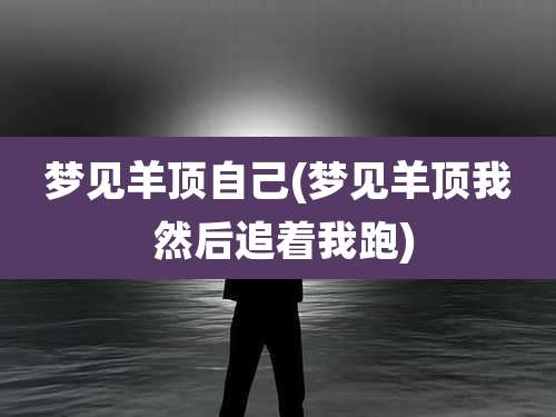 梦见羊顶自己(梦见羊顶我 然后追着我跑)