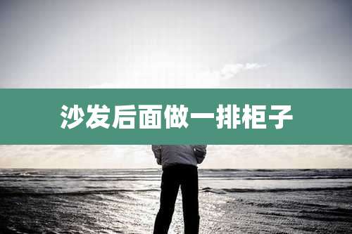 沙发后面做一排柜子