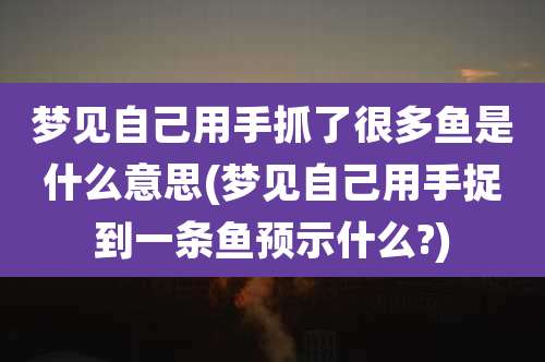 梦见自己用手抓了很多鱼是什么意思(梦见自己用手捉到一条鱼预示什么?)