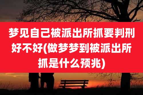 梦见自己被派出所抓要判刑好不好(做梦梦到被派出所抓是什么预兆)