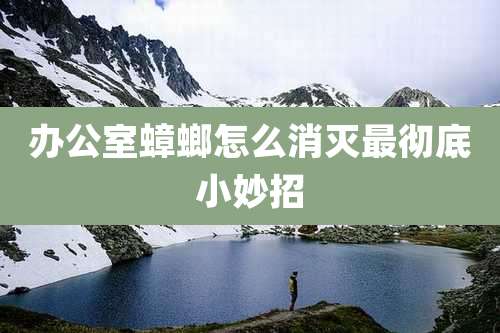 办公室蟑螂怎么消灭最彻底小妙招