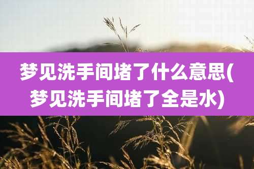 梦见洗手间堵了什么意思(梦见洗手间堵了全是水)