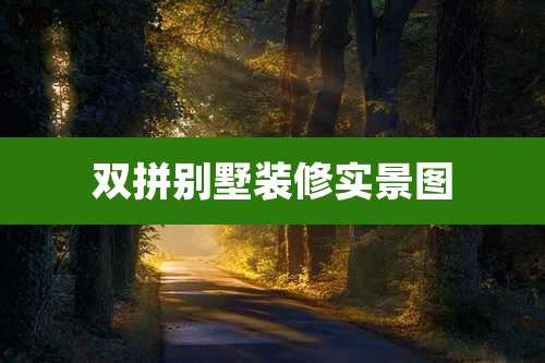 双拼别墅装修实景图