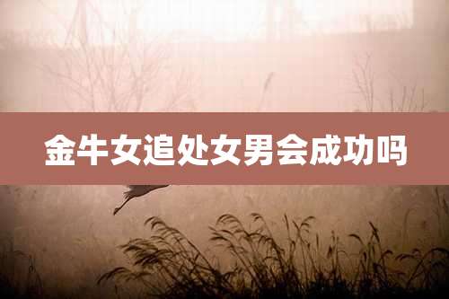 金牛女追处女男会成功吗