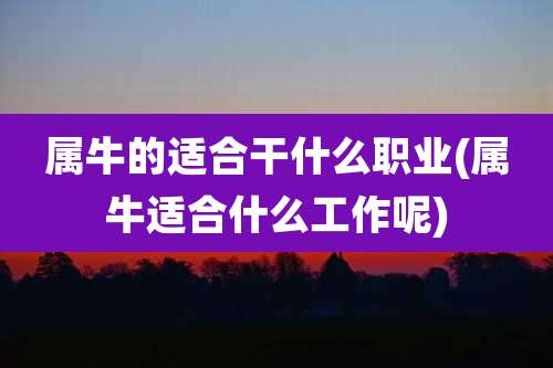 属牛的适合干什么职业(属牛适合什么工作呢)