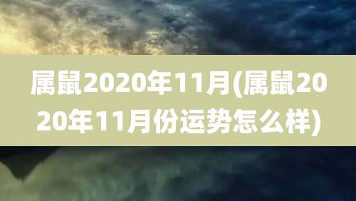 属鼠2020年11月(属鼠2020年11月份运势怎么样)