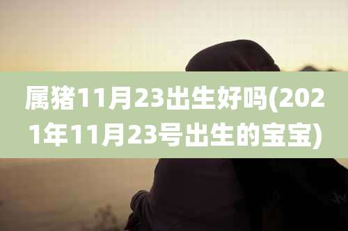 属猪11月23出生好吗(2021年11月23号出生的宝宝)