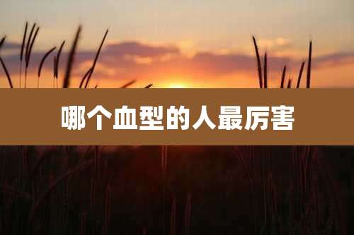 哪个血型的人最厉害