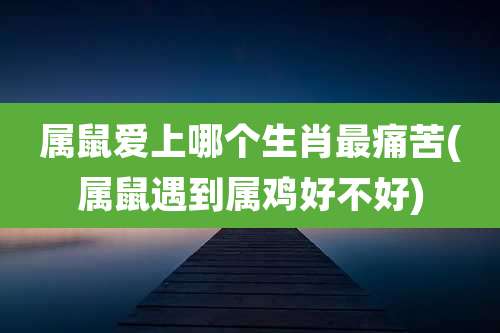属鼠爱上哪个生肖最痛苦(属鼠遇到属鸡好不好)