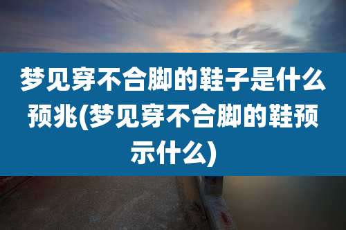 梦见穿不合脚的鞋子是什么预兆(梦见穿不合脚的鞋预示什么)