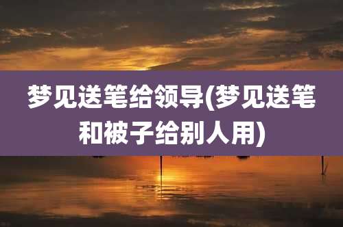 梦见送笔给领导(梦见送笔和被子给别人用)