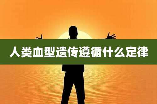 人类血型遗传遵循什么定律