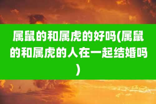 属鼠的和属虎的好吗(属鼠的和属虎的人在一起结婚吗)