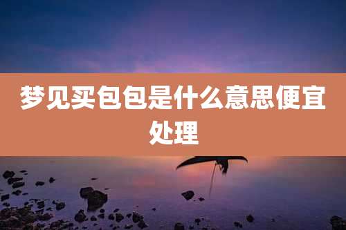 梦见买包包是什么意思便宜处理