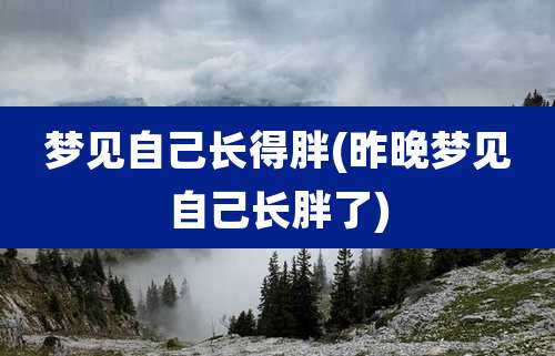 梦见自己长得胖(昨晚梦见自己长胖了)