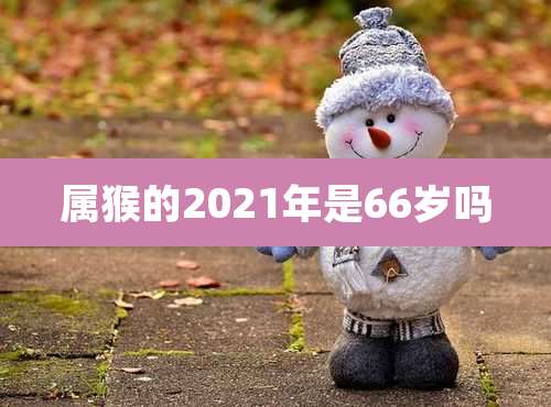 属猴的2021年是66岁吗