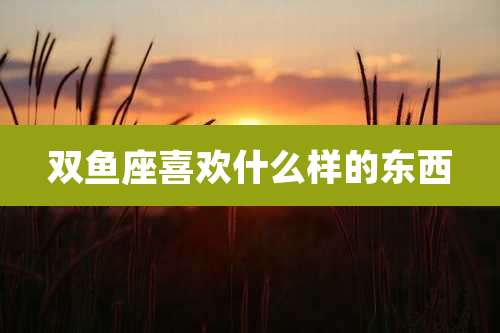 双鱼座喜欢什么样的东西