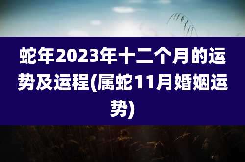 蛇年2023年十二个月的运势及运程(属蛇11月婚姻运势)