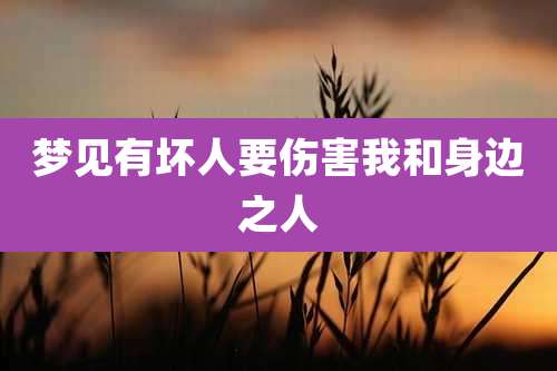 梦见有坏人要伤害我和身边之人