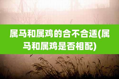 属马和属鸡的合不合适(属马和属鸡是否相配)