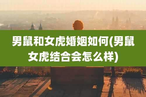 男鼠和女虎婚姻如何(男鼠女虎结合会怎么样)