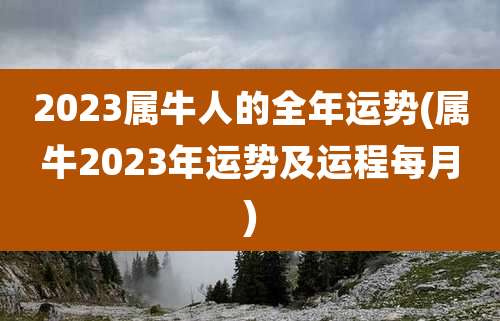 2023属牛人的全年运势(属牛2023年运势及运程每月)