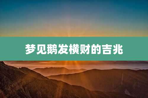 梦见鹅发横财的吉兆