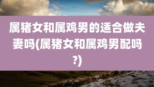 属猪女和属鸡男的适合做夫妻吗(属猪女和属鸡男配吗?)