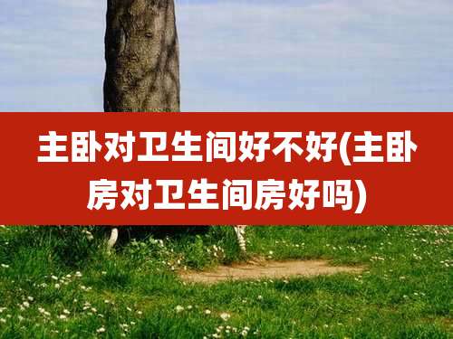 主卧对卫生间好不好(主卧房对卫生间房好吗)