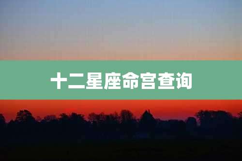 十二星座命宫查询