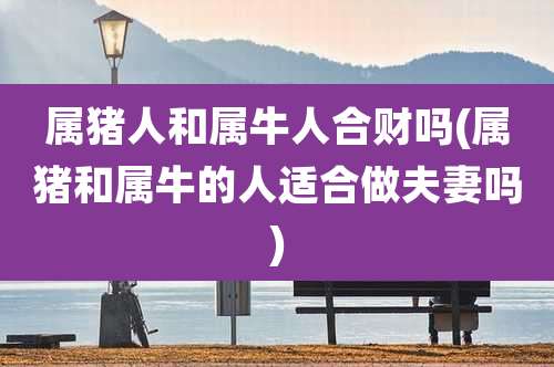 属猪人和属牛人合财吗(属猪和属牛的人适合做夫妻吗)