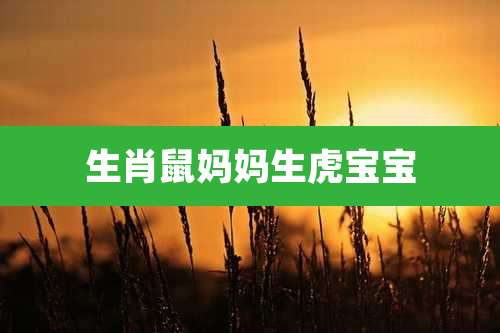 生肖鼠妈妈生虎宝宝