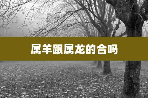 属羊跟属龙的合吗