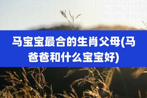 马宝宝最合的生肖父母(马爸爸和什么宝宝好)