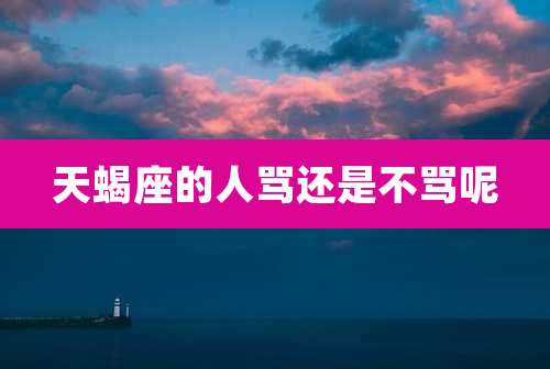 天蝎座的人骂还是不骂呢