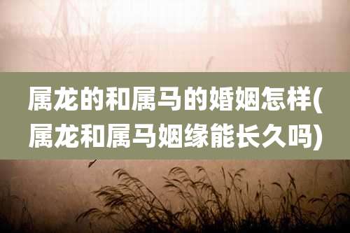 属龙的和属马的婚姻怎样(属龙和属马姻缘能长久吗)