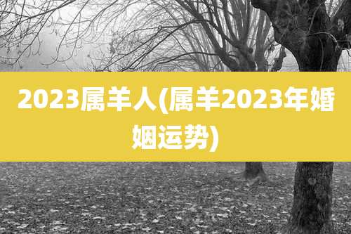 2023属羊人(属羊2023年婚姻运势)