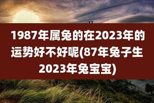 1987年属兔的在2023年的运势好不好呢(87年兔子生2023年兔宝宝)
