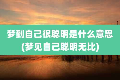 梦到自己很聪明是什么意思(梦见自己聪明无比)