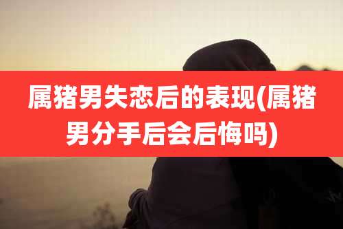属猪男失恋后的表现(属猪男分手后会后悔吗)