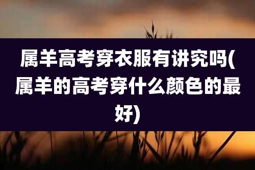 属羊高考穿衣服有讲究吗(属羊的高考穿什么颜色的最好)