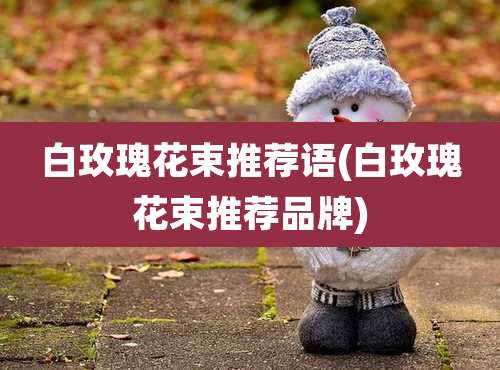 白玫瑰花束推荐语(白玫瑰花束推荐品牌)