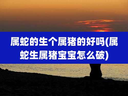 属蛇的生个属猪的好吗(属蛇生属猪宝宝怎么破)