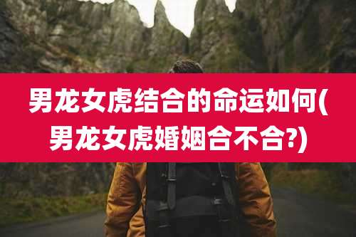 男龙女虎结合的命运如何(男龙女虎婚姻合不合?)