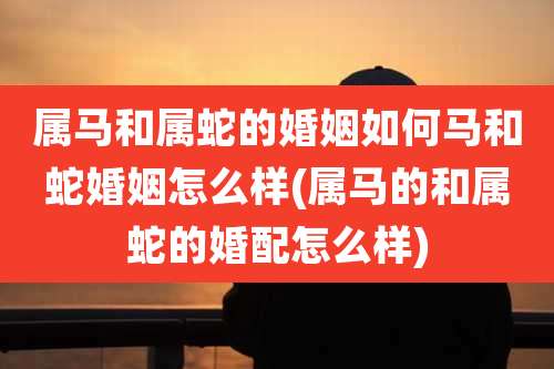 属马和属蛇的婚姻如何马和蛇婚姻怎么样(属马的和属蛇的婚配怎么样)