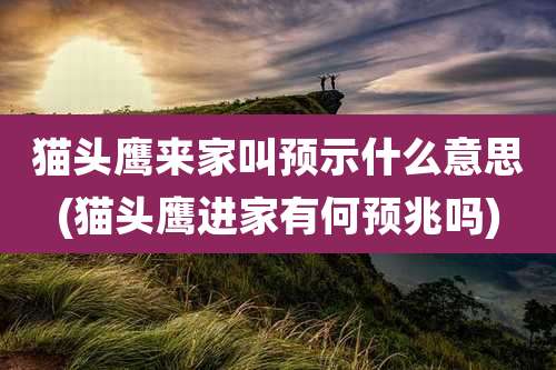 猫头鹰来家叫预示什么意思(猫头鹰进家有何预兆吗)
