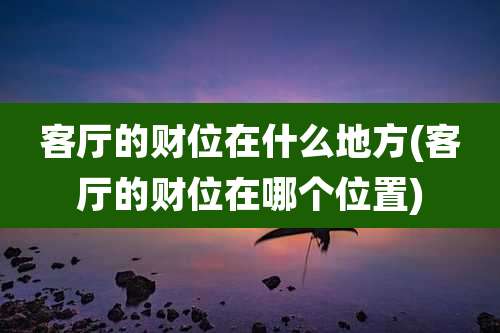 客厅的财位在什么地方(客厅的财位在哪个位置)